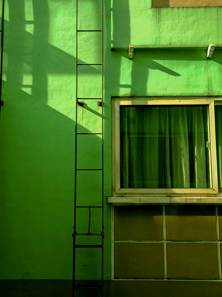 Green Stucco house example 13