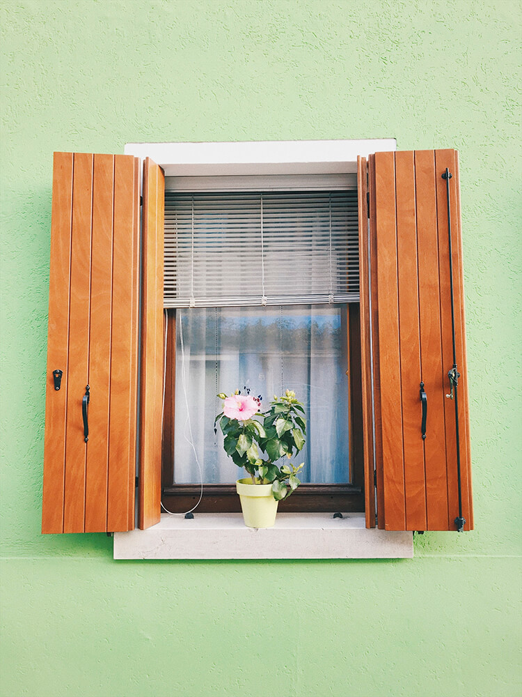 Green Stucco house example 15