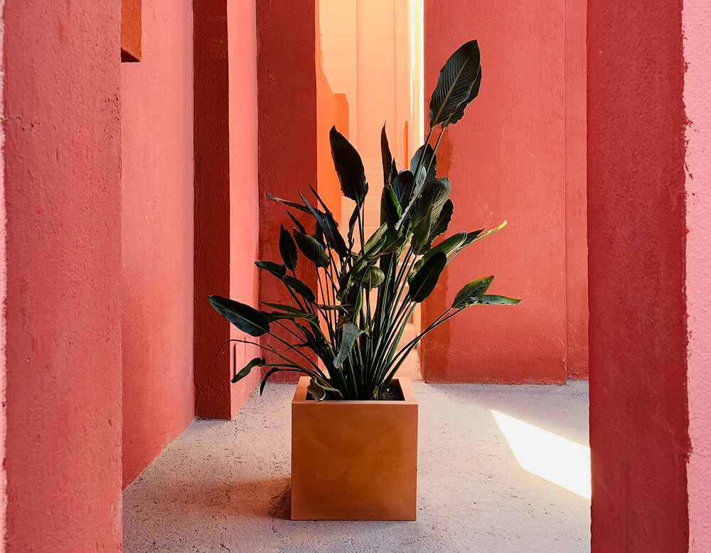 20 Beautiful Examples of Pink Stucco 14 Pink Stucco work example 12
