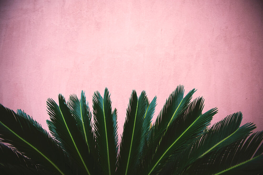 20 Beautiful Examples of Pink Stucco 4 Pink Stucco work example 2